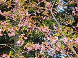 DSCN9457