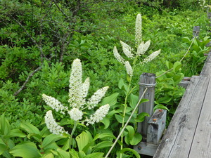 DSCN0236