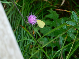 DSCN9380