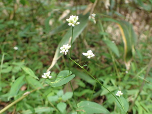 P9281281