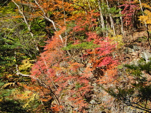 DSCN0167