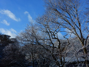DSCN9761