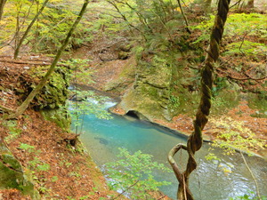 DSCN9780