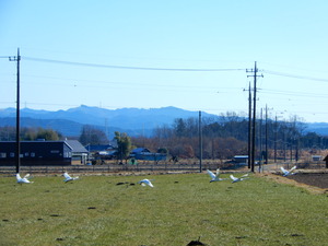 DSCN9355