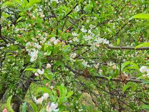 DSCN9934