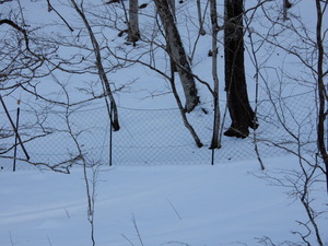 DSCN0282