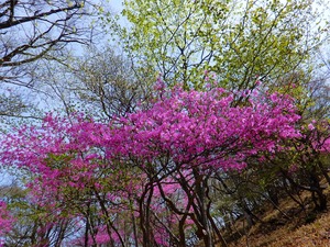 DSCN7680