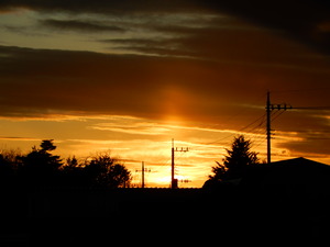 DSCN9696