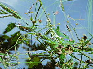 DSCN0076