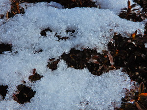 DSCN9874