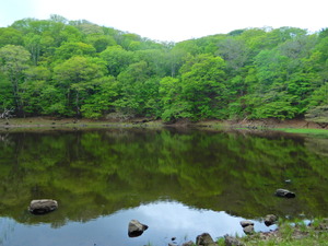 DSCN9580