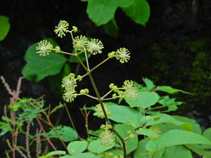 DSCN9317