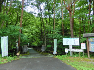 DSCN0034
