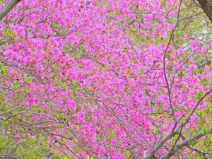 DSCN0107