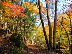 DSCN1468
