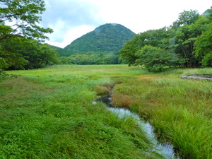 DSCN0041