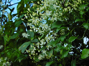 DSCN0040