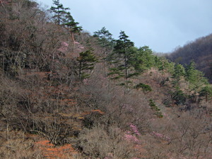 DSCN9840