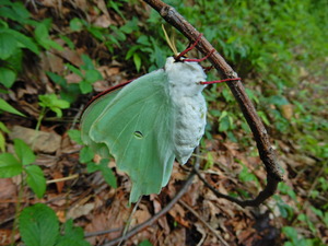 DSCN0249