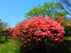 DSCN9712