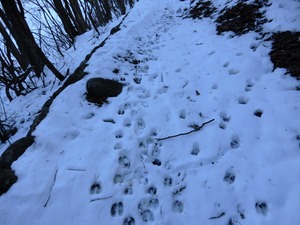DSCN8844