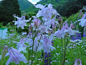 DSCN9687