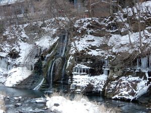 DSCN9419