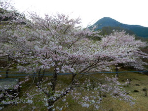 DSCN0652