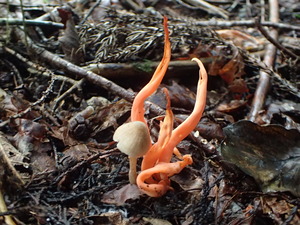 P9231058