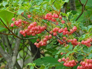 DSCN9609