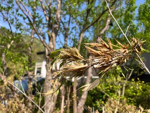 IMG_2580