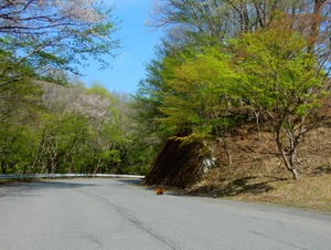 DSCN9493