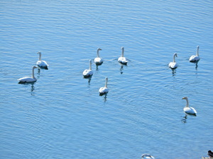DSCN0087