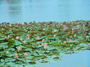 DSCN0515