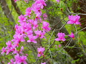 DSCN9829