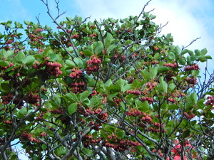 DSCN0159
