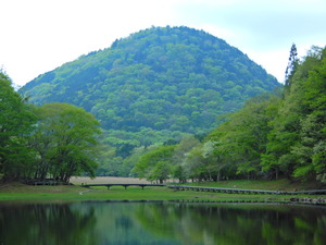 DSCN9593