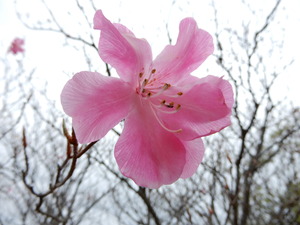 DSCN0660