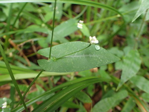 P9281278