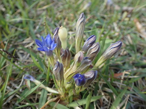 P6040037