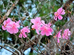DSCN9416