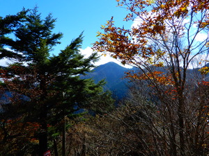 DSCN9923