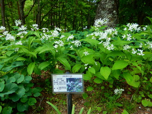 DSCN0976