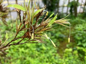 IMG_0144