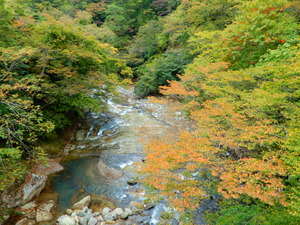 DSCN9470