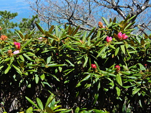 DSCN0202