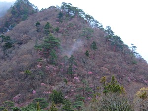DSCN9719