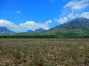 DSCN0653