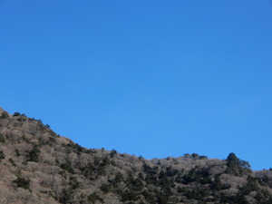 DSCN9734