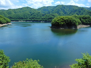 DSCN9655